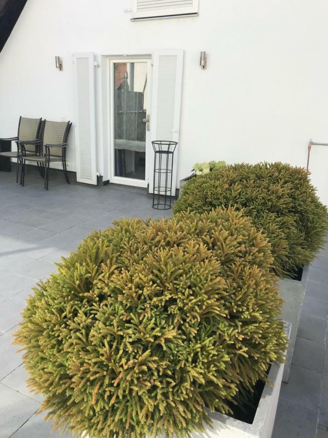 Casa Christina Appartement Orschweier Buitenkant foto